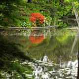 Kyoto